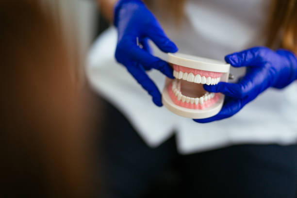 Best Dental Exams and Cleanings  in Taylor, MI